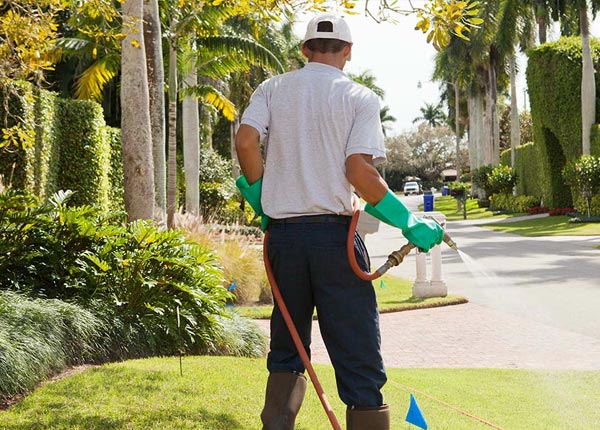 About Esperance NY Pest Control